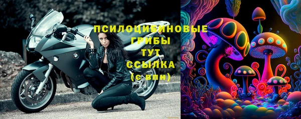 герыч Пересвет